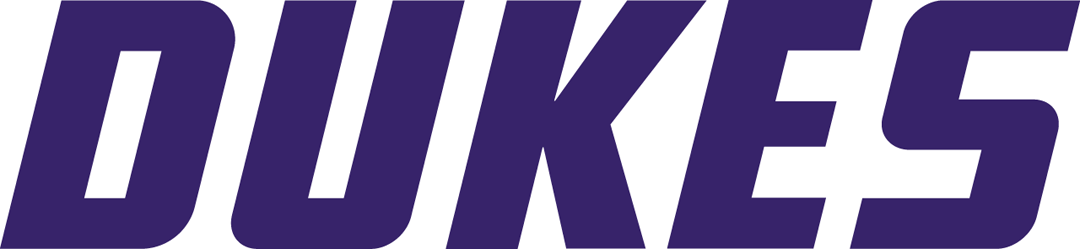 James Madison Dukes 2017-Pres Wordmark Logo DIY iron on transfer (heat transfer)